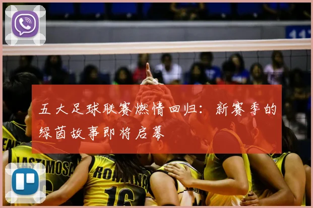 五大足球联赛燃情回归：新赛季的绿茵故事即将启幕
