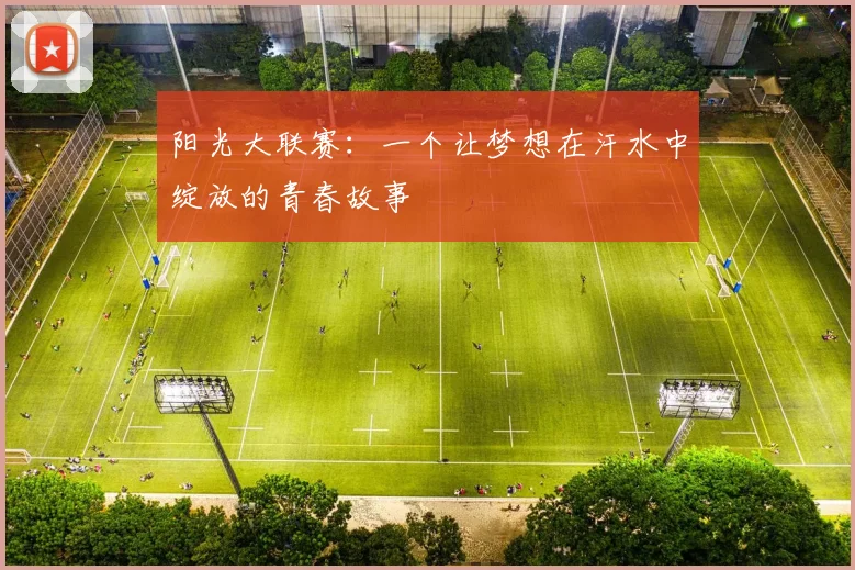 阳光大联赛:一个让梦想在汗水中绽放的青春故事
