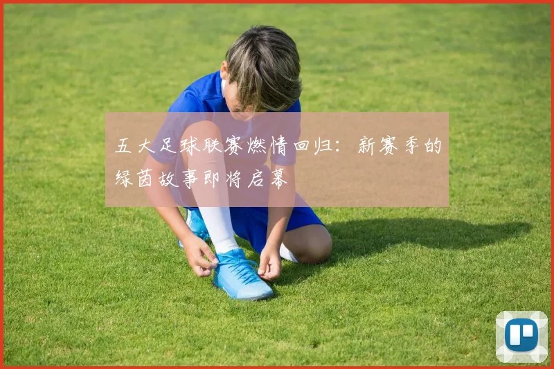 五大足球联赛燃情回归：新赛季的绿茵故事即将启幕